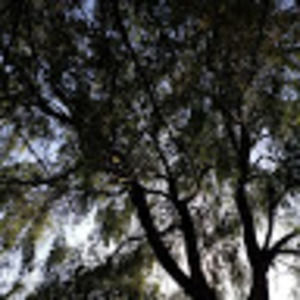 Meet your Posher, Meg